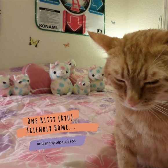 ❤️️ Welcome! Please Read/View ❤️️ About Me ❤️️ - Picture 4 of 4